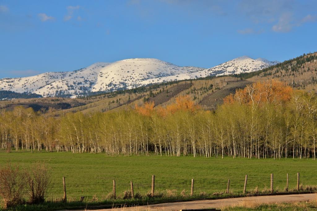 Teton Hostel Hideaway Driggs Exterior photo